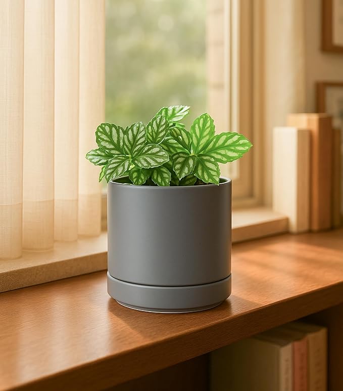 D'vine Dev Set of 4 Small Ceramic Plant Pots, 4.7 Inch Succulent Planter Pot - Image 6
