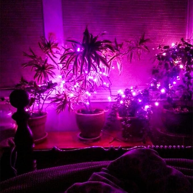 Purple String Lights, 33ft 100 LED 8 Modes Clear Wire Plug in Christmas Easter - Image 8