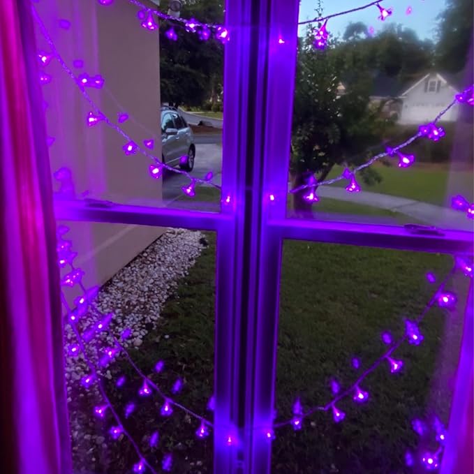 Cute Flower String Lights, USB & Battery Lighted Decorative Fairy Cherry - Image 6