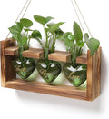 Plant Terrarium Propagation Stations Faith Hope Love Hydroponics Home Garden by Unknown