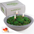 Grass Moss Scented Candle Bowl Home Decoration by iLikePar