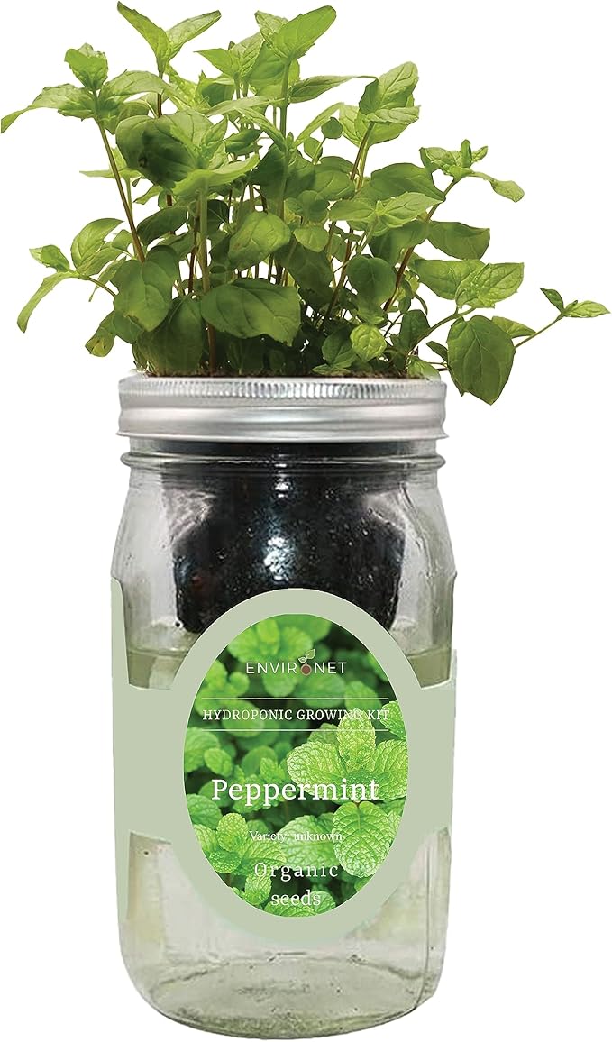 Hydroponic Herb Growing Kit, Self-Watering Mason Jar Herb Garden Starter Kit by Environet