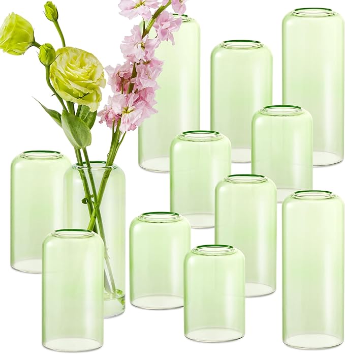 12Pcs Bud Vases Set, Glass Flower Vase by GNILLKO