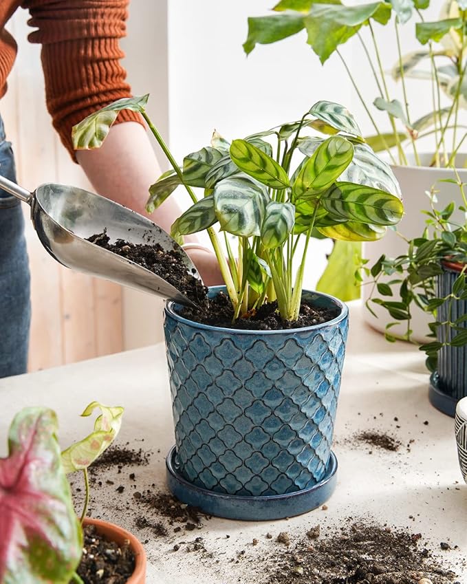 LE TAUCI Ceramic Pots for Plants, 5.5 Inch Plant Pots - Image 2