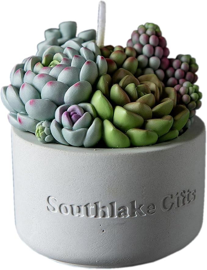 Assorted Succulent Pot Scented Candle by iLikePar