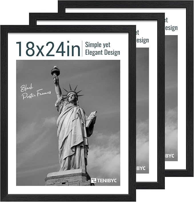 18x24 Poster Frame 3 Pack by TENiBYC