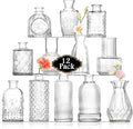 Bud Vases Set of 12, Small Glass Vases by ROLLSCERAY