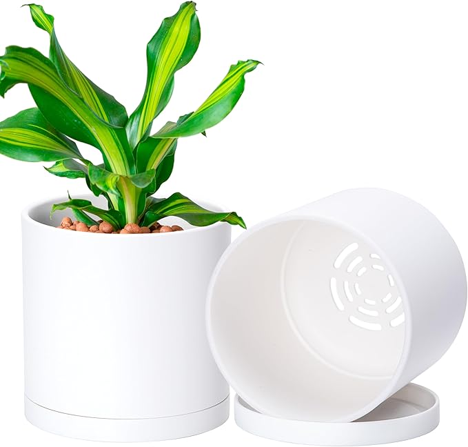 D'vine Dev 2 Pack 5.5 Inch Modern Plastic Plant Pots, Small Garden Planters by DvineDevPlanterPotsandStand