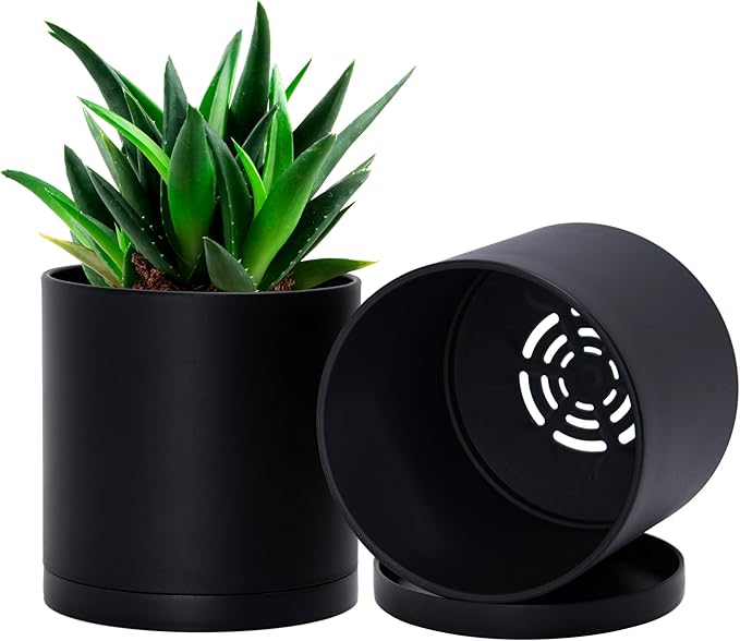 D'vine Dev 2 Pack 5 Inch Modern Plastic Plant Pots, Small Garden Planters by DvineDevPlanterPotsandStand