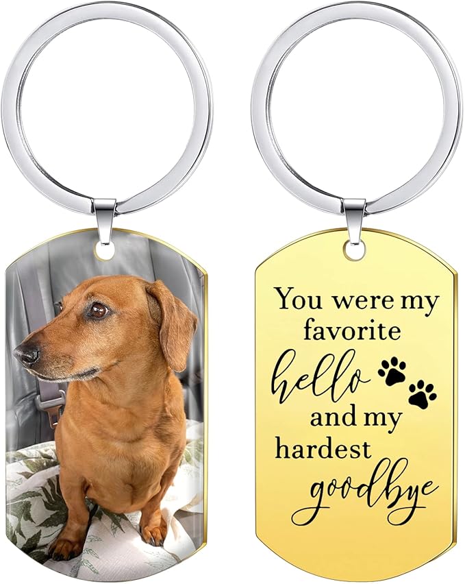 Funnylife Personalized Dog Memorial Photo Keychain Stainless Steel Custom Pet by Funnylife