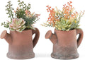 2-Pack Artificial Succulent Plants in Vintage Pots by Fuxdre