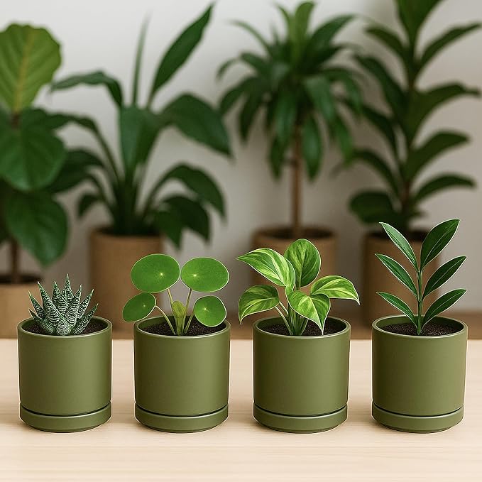 D'vine Dev Set of 4 Small Ceramic Plant Pots, 3.5 Inch Succulent Planter Pot - Image 3