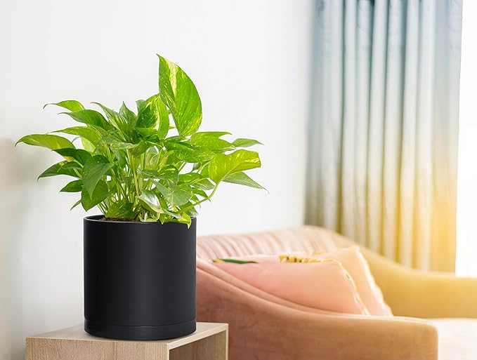 D'vine Dev 4 Pack 6.5 Inch Modern Plastic Plant Pots, Small Garden Planters - Image 5
