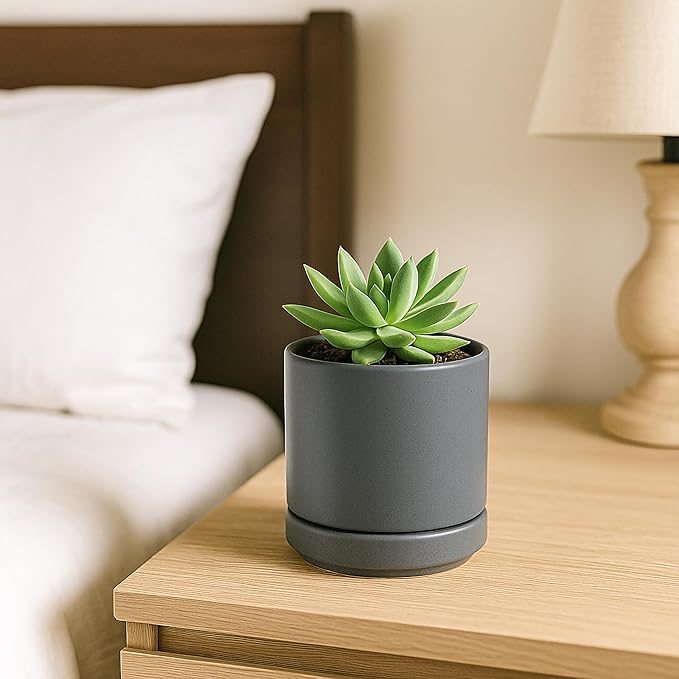 D'vine Dev Set of 4 Small Ceramic Plant Pots, 3.5 Inch Succulent Planter Pot - Image 7