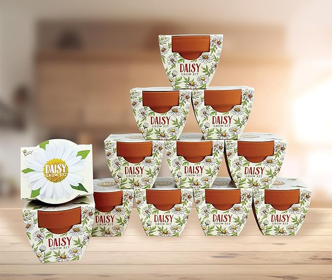 BUZZY Seeds Daydream Mini Terracotta Pots 12-Pack - Image 5