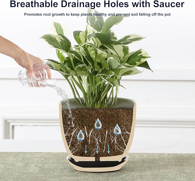 Sureasy Succulent Pots, 3.5 Inch Flower Pots - Image 4
