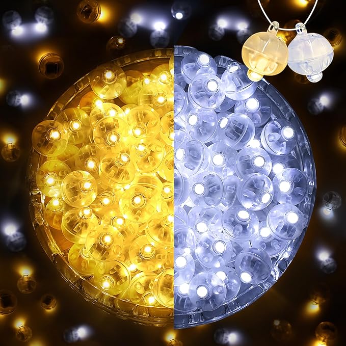 ZGWJ 200PCs Mini Led Lights by ZGWJ