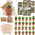 AZEAM 24 Pcs Succulent Candles Party Favors, Bulk Cactus Table Decor by AZEAM