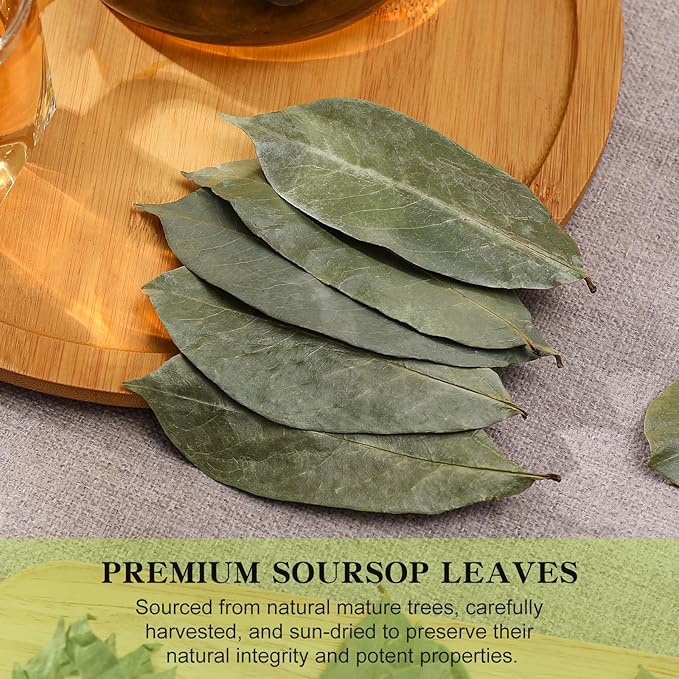 FullChea - Soursop Leaves, 170+ Hojas De Guanabana - Premium Soursop Leaves Tea - Image 2