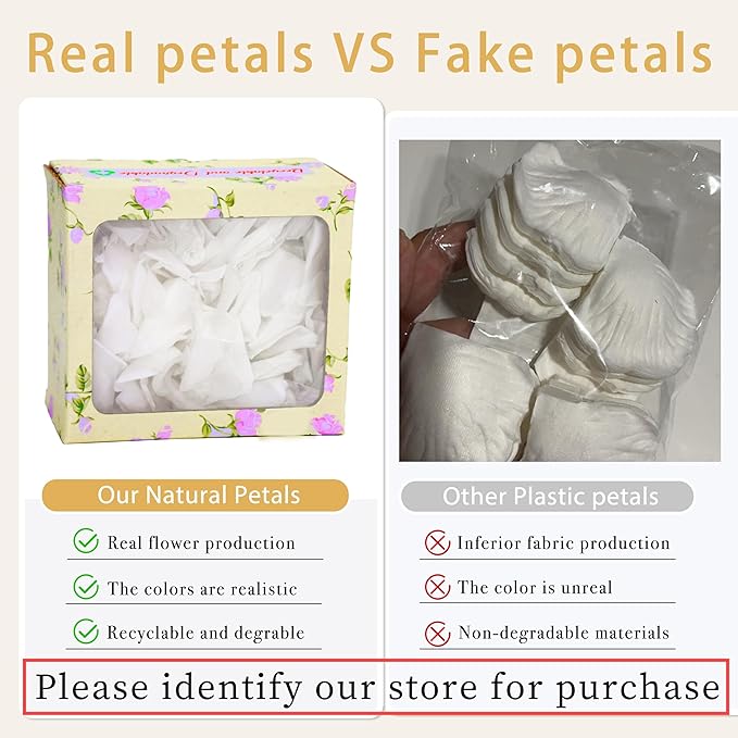 Real Dried Ivory White Rose Petals, Frozen Preserved Petals for, Wedding Party - Image 5