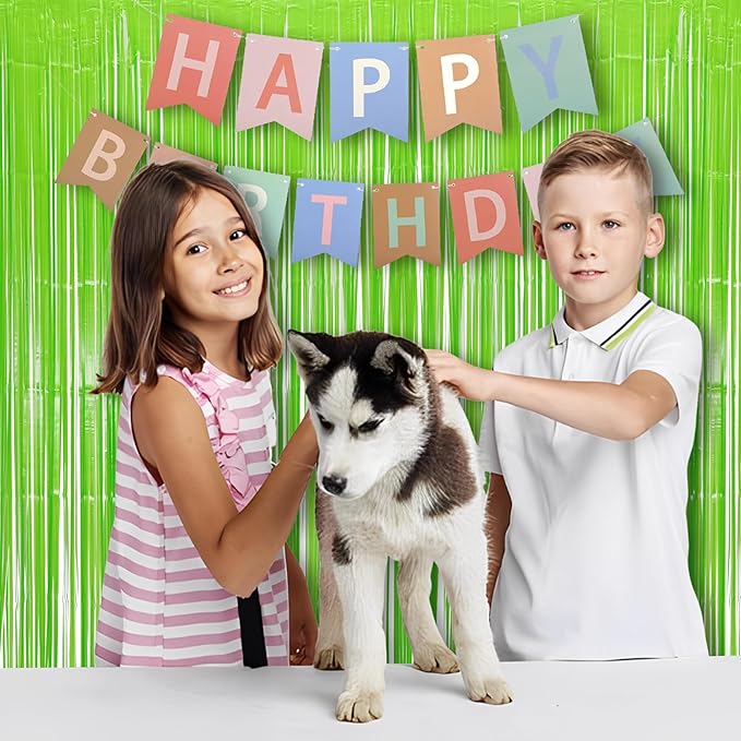 BRAVESHINE Pastel Green Streamers Party Backdrop Decoration - Image 5
