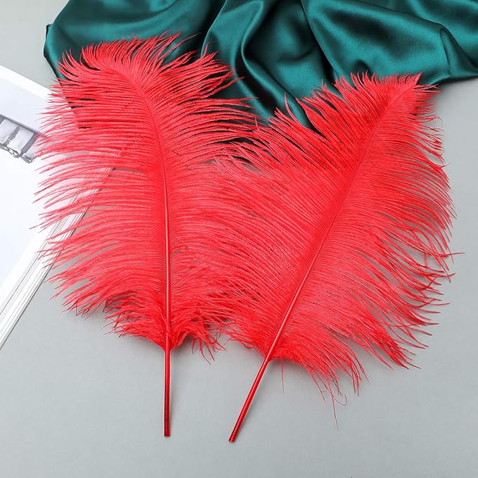 24pcs Natural Bright Red Ostrich Feathers 10-12inch - Image 4