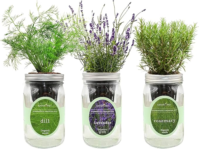 Hydroponic Herb Growing Kit Set, Self-Watering Mason Jar Herb Garden Starter by Environet