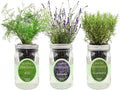 Hydroponic Herb Growing Kit Set, Self-Watering Mason Jar Herb Garden Starter by Environet
