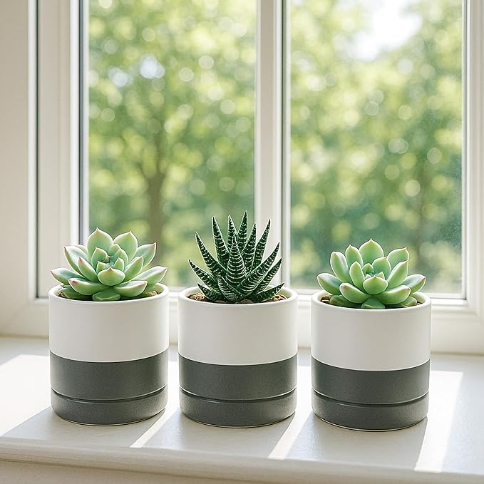 D'vine Dev Set of 4 Small Ceramic Plant Pots, 3.5 Inch Succulent Planter Pot - Image 7