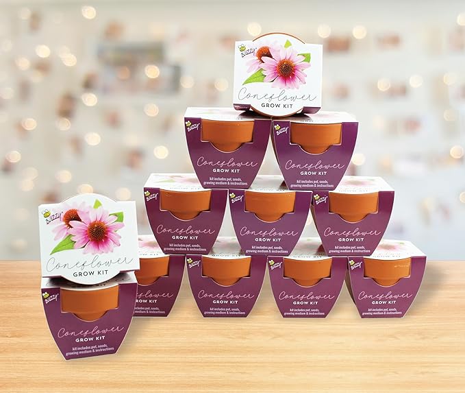 BUZZY Seeds Terracotta Mini Grow Pots | Herb, Flower Starter Kit - Image 4
