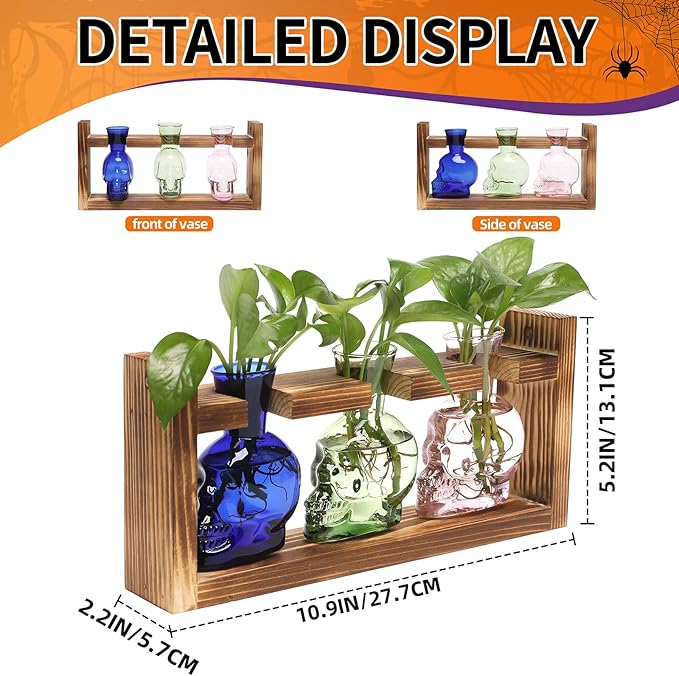 Plant Terrarium Propagation Stations Hydroponics Halloween Skull Planter Vase - Image 3
