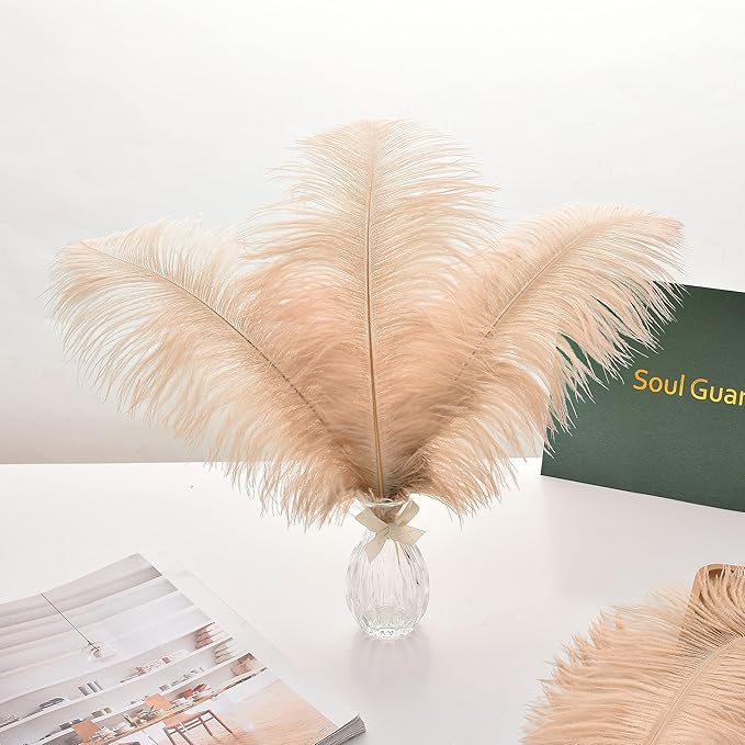 Ballinger Large Champagne Ostrich Feathers - Image 6