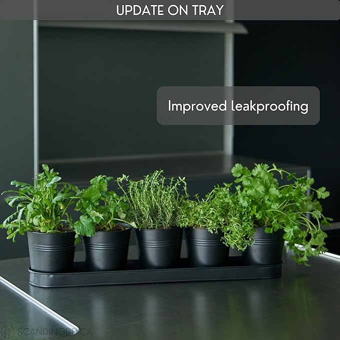 SCANDINORDICA Black Herb Planter – 5 Pots - Image 6