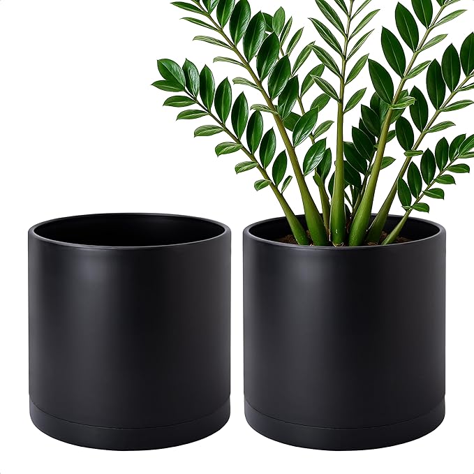 D'vine Dev 2 Pack 10 Inch Modern Plastic Plant Pots, Cylindrical Garden Planters by DvineDevPlanterPotsandStand