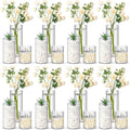 Nuogo 24 Pcs Plastic Cylinder Vases Tall Clear Flower Vases by Nuogo