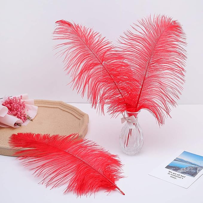 Ballinger Red Ostrich Feathers Bulk - Image 7