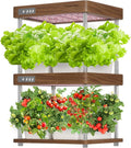 GROWNEER HydroEasy1.0 Hydroponics Growing System Kit, Beginner-Friendly Indoor by GROWNEER