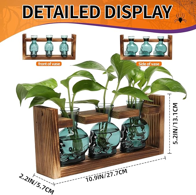 Plant Terrarium Propagation Stations Hydroponics Halloween Skull Planter Vase - Image 3