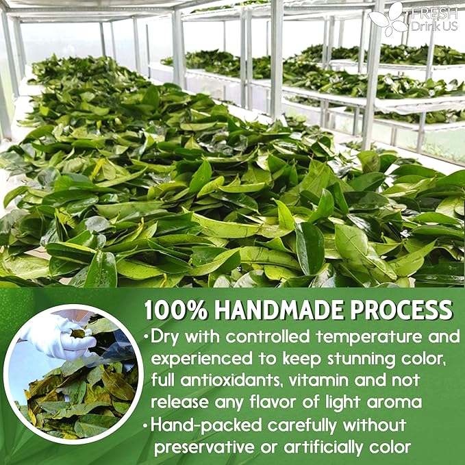 FreshDrinkUS, 120+ Premium Soursop Graviola Dried Leaves Tea, 40 Cups, 120-130 - Image 7