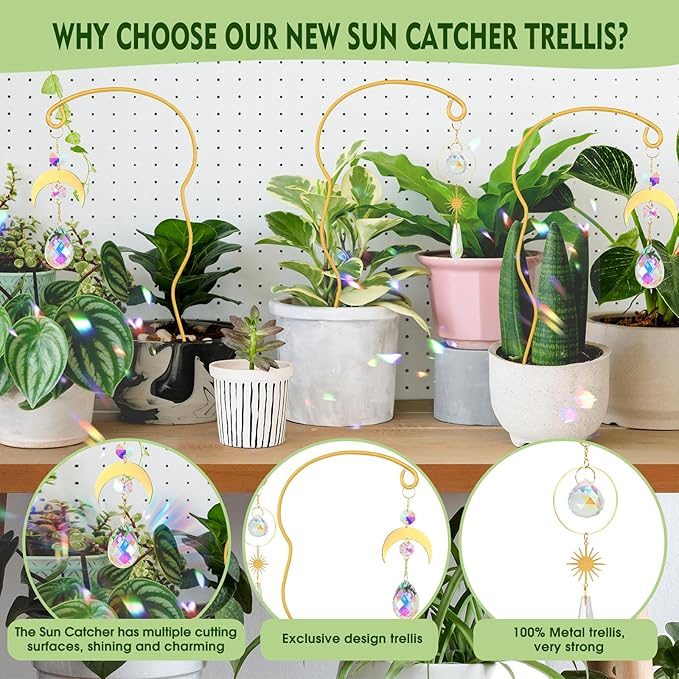 Plant Trellis for Potted Plants - Image 3