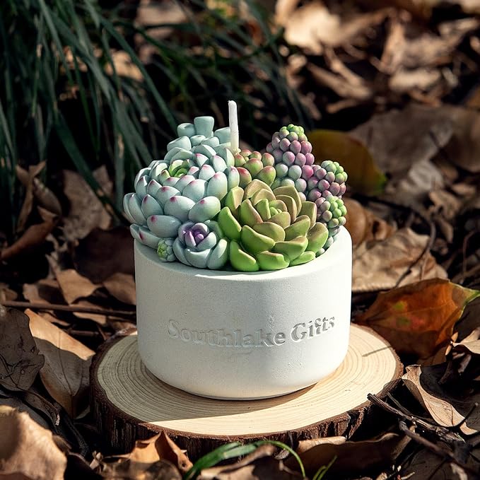 Assorted Succulent Pot Scented Candle - Image 4