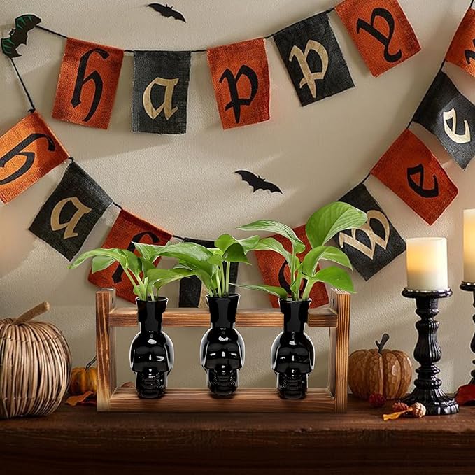 Plant Terrarium Propagation Stations Hydroponics Halloween Skull Planter Vase - Image 4