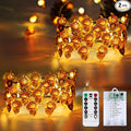 BOSSERN 2 Pack 60LED Thanksgiving Decoration Acorn String Light Battery Operated by BOSSERN