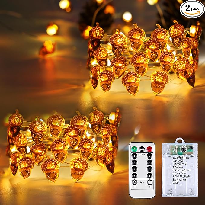 BOSSERN 2 Pack 60LED Thanksgiving Decoration Acorn String Light Battery Operated by BOSSERN