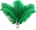 Ballinger Green Ostrich Feathers Bulk by Ballinger