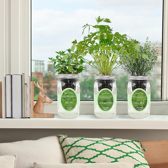 Hydroponic Growing Kit Set, Self-Watering Mason Jar Herb Garden Starter Kit - Image 4