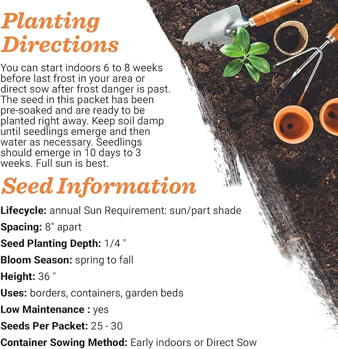 Bentley Seeds Co. Seed Packets for Planting - Image 5