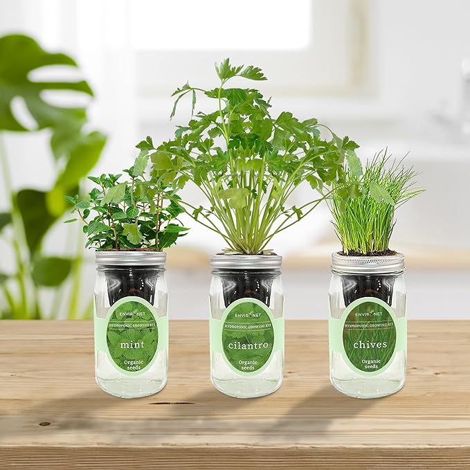 Hydroponic Herb Growing Kit Set, Self-Watering Mason Jar Herb Garden Starter - Image 3