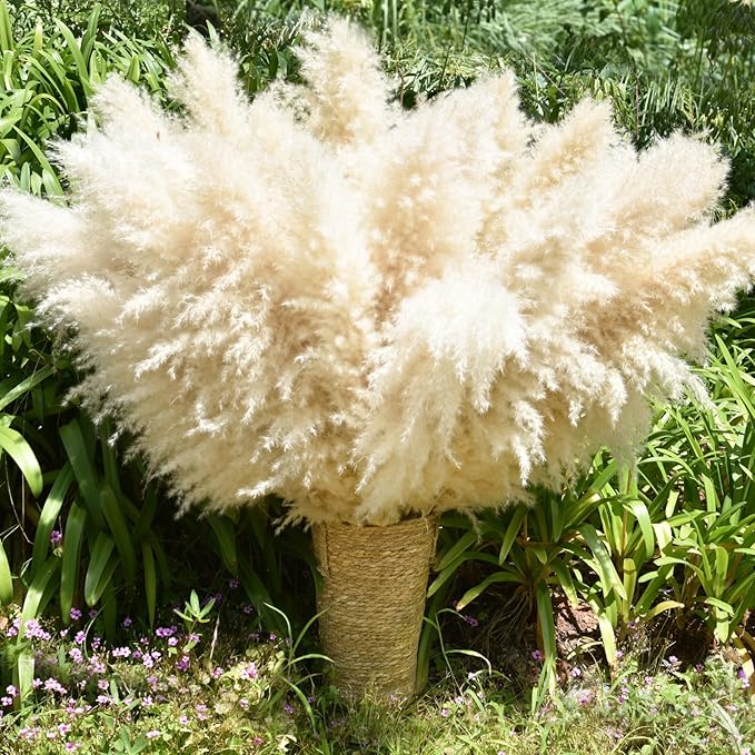 40" 33PCS Dried Pampas Grass Decor Tall, Large Natural Beige pompas Grass Tall by HUATEMEI