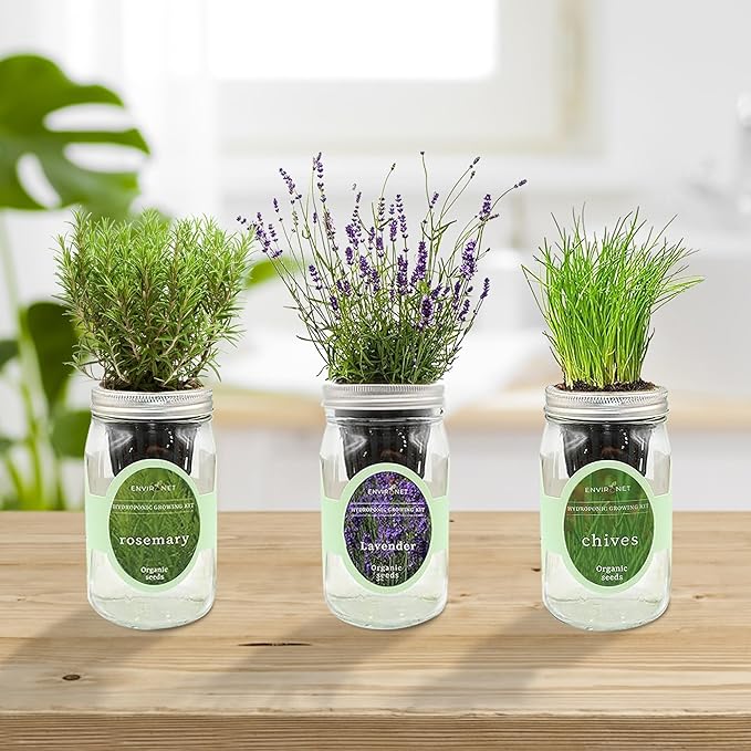 Hydroponic Herb Growing Kit Set, Self-Watering Mason Jar Herb Garden Starter - Image 5